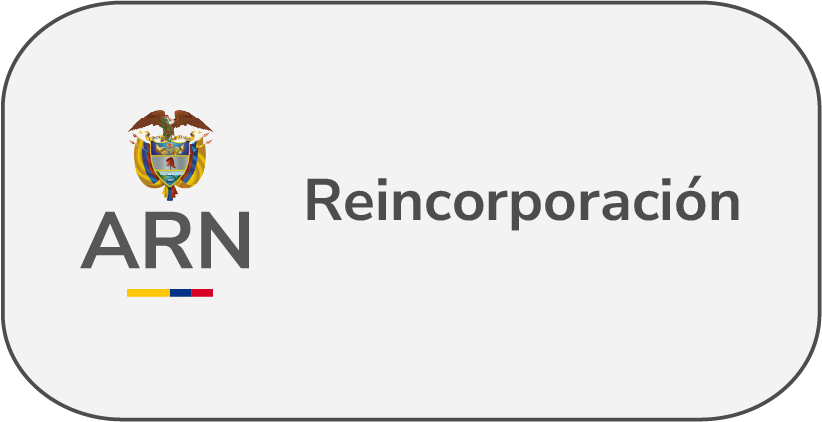 ARN Reincorporación