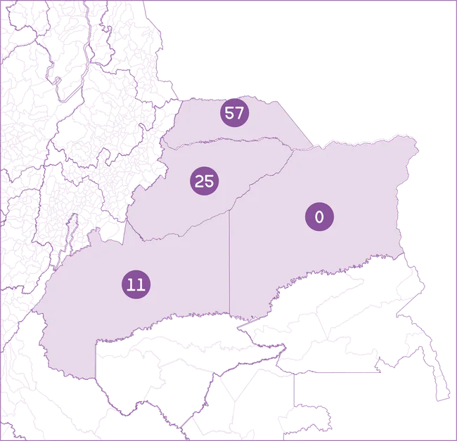 Mapa Región ORINOQUÍA