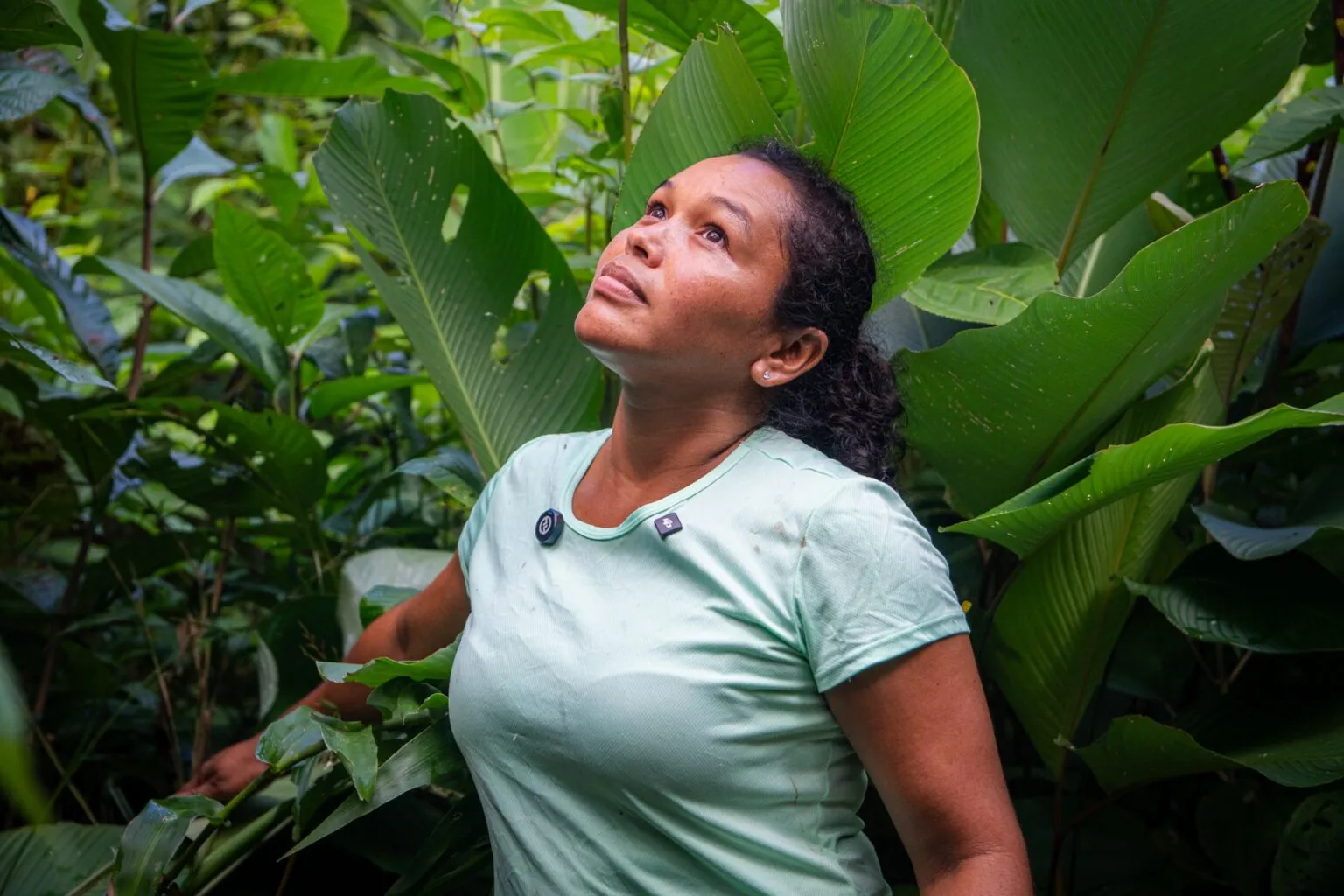 Ingris Martínez, participante del proyecto de restauración de bosques y desarrollo de modelos de producción apícola.