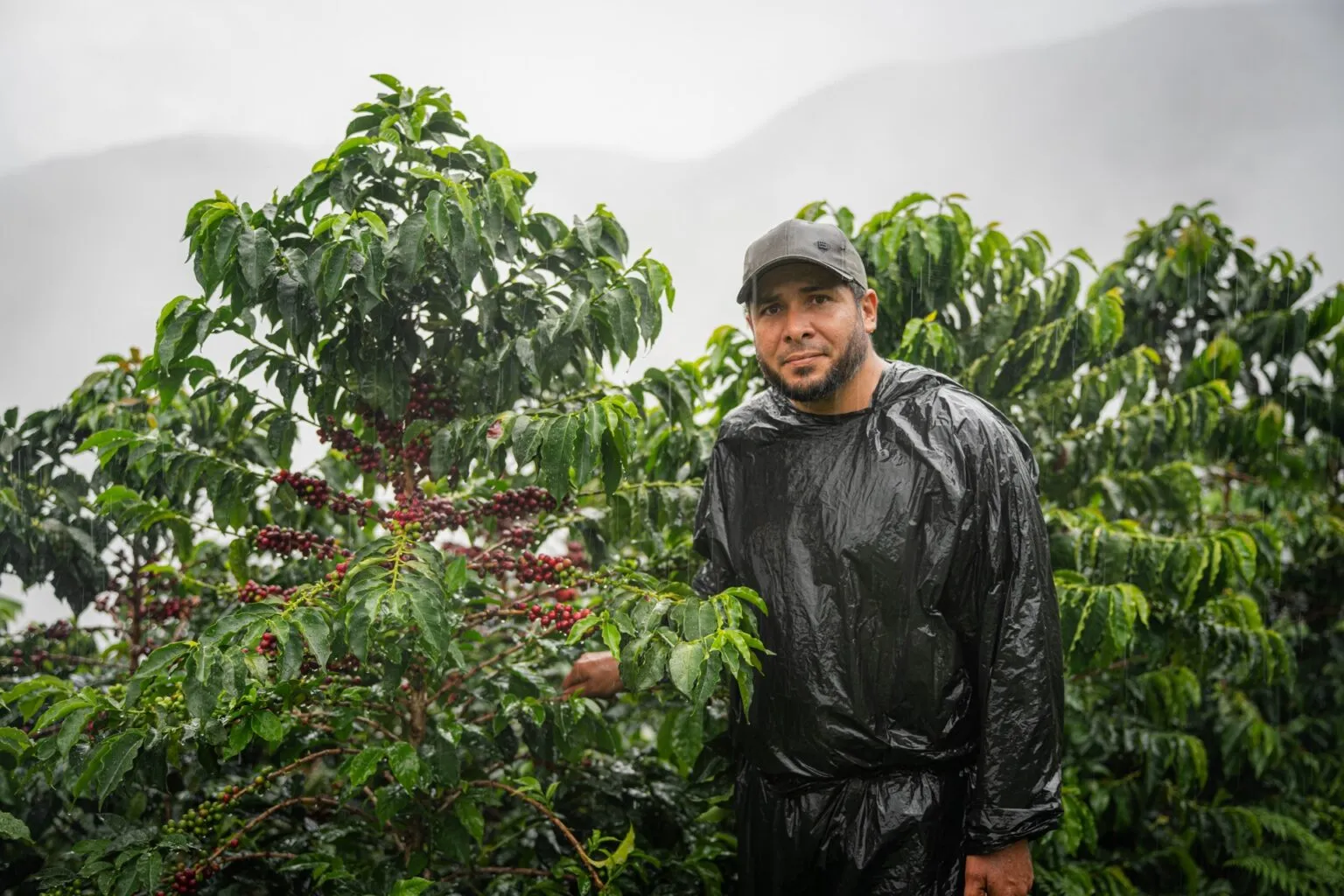 Robinson, productor de café de la Asociación Jóvenes Agricultores del Perijá.