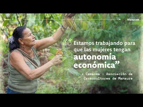 Cacaoma | Manaure, Cesar